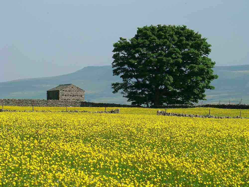 Mile House Farm Country Cottages Traditional Luxury Self-Catering 
Holiday Accommodation in Wensleydale